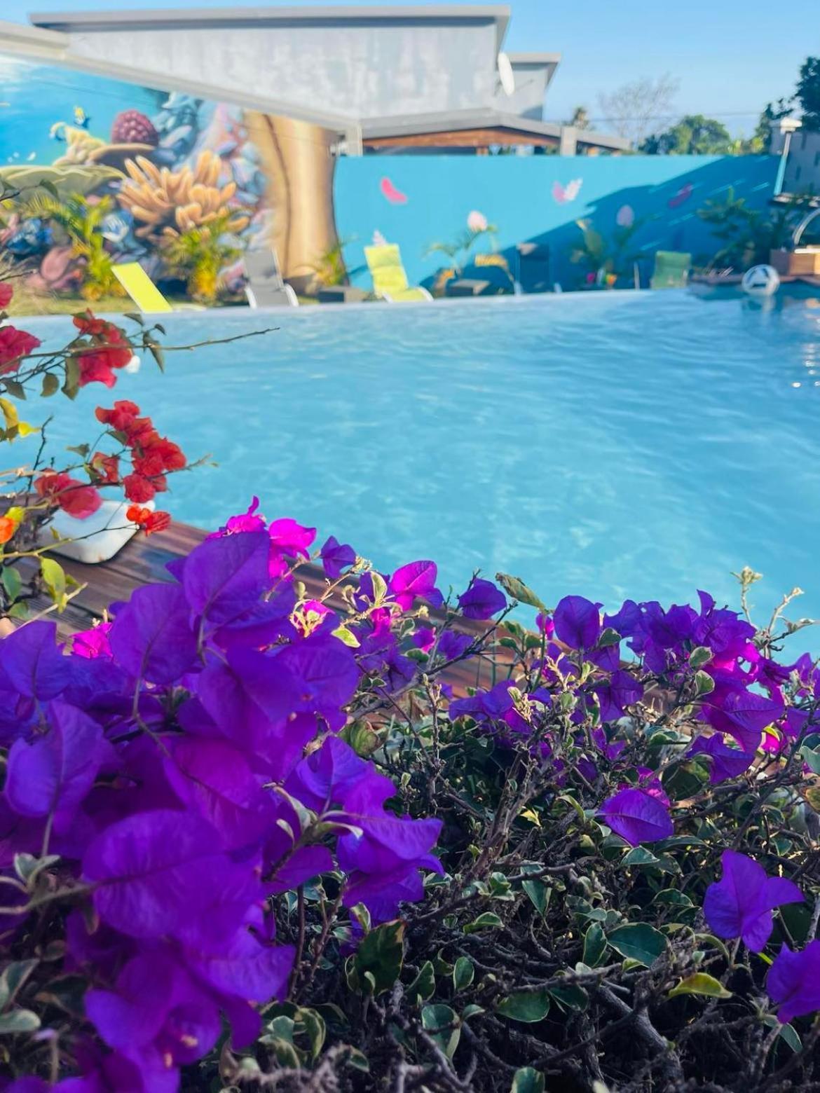 La Villa Tikalikata Saint-Joseph Bagian luar foto
